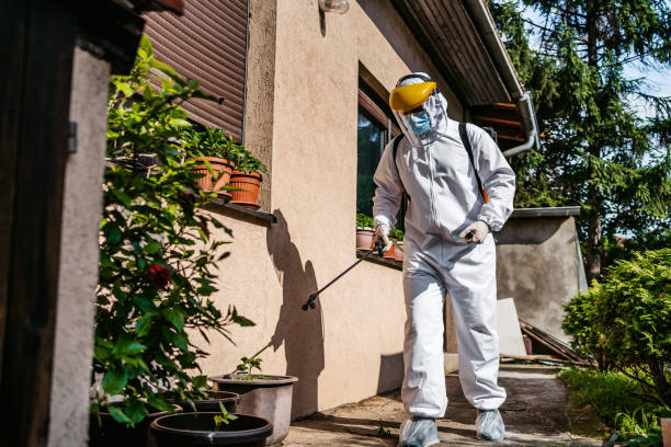 Flea Control Services in Oostburg, WI