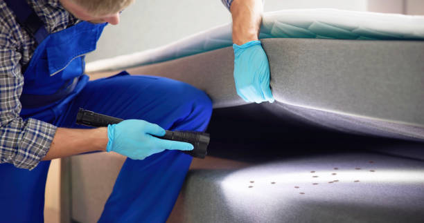 Best Emergency Pest Control  in Oostburg, WI