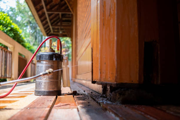 Pest Prevention Services in Oostburg, WI