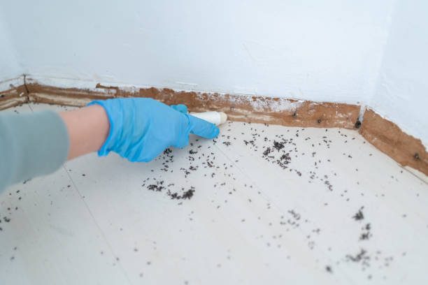 Wildlife Control Services in Oostburg, WI